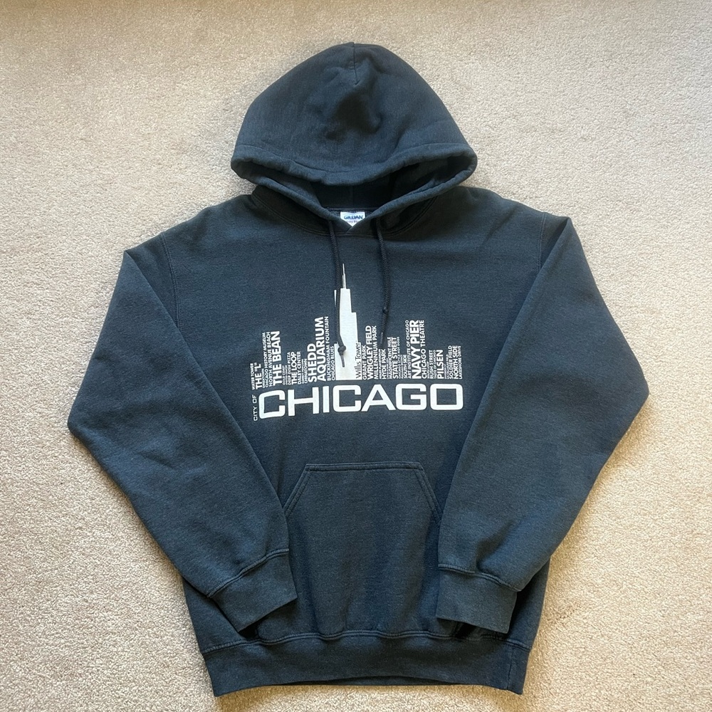 Gray Chicago Skyline Hoodie